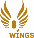 Q Wings Logo